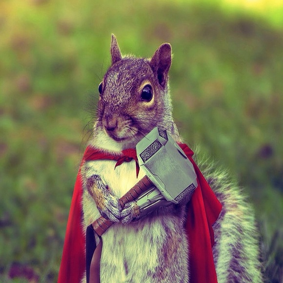 Meet your Posher, Ula - Picture 1 of 1